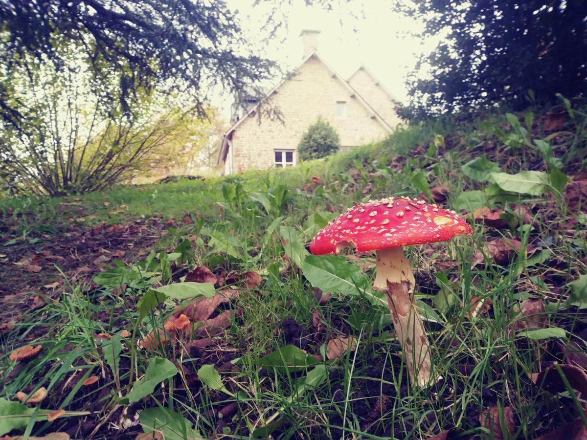 Maison Du Tertre Lonlay-l'Abbaye Buitenkant foto