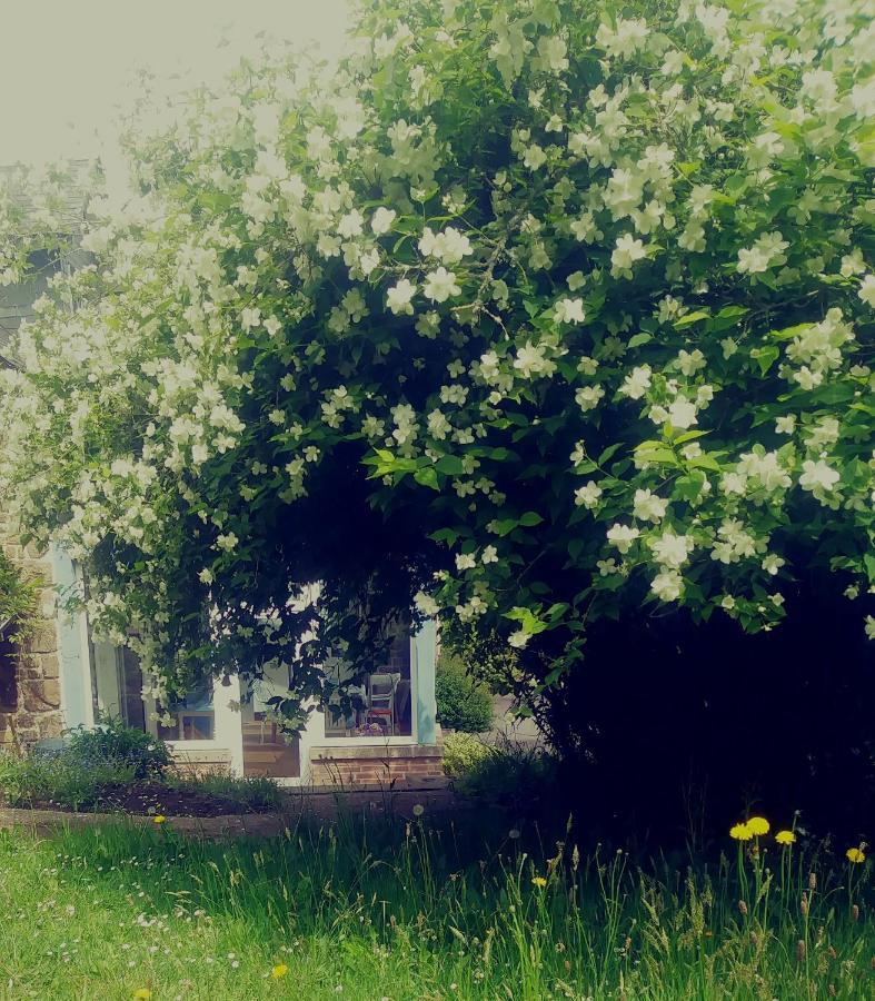 Maison Du Tertre Lonlay-l'Abbaye Buitenkant foto
